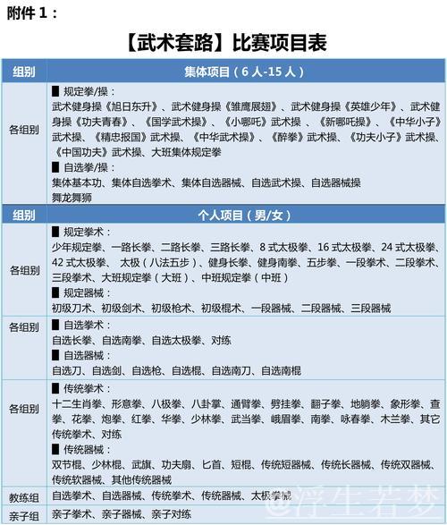 2025年北京武搏赛“阳光下一代”精彩收官